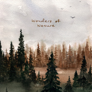 青色大脑主角各种死亡结局
