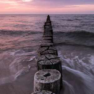 青色大脑主角各种死亡结局
